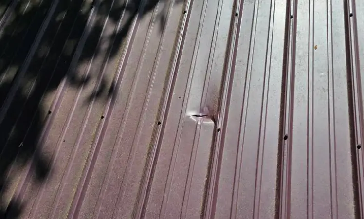 Metal roof hail damage