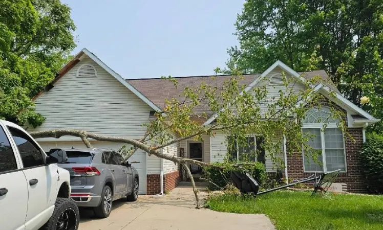 Roof insurance claims, fallen tree