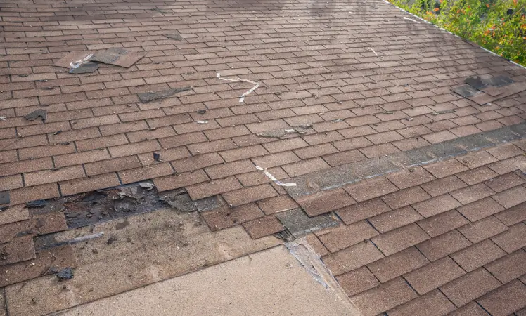 Missing shingles on roof